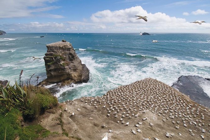 Private Coast to Coast Luxury Eco Tour - Good To Know