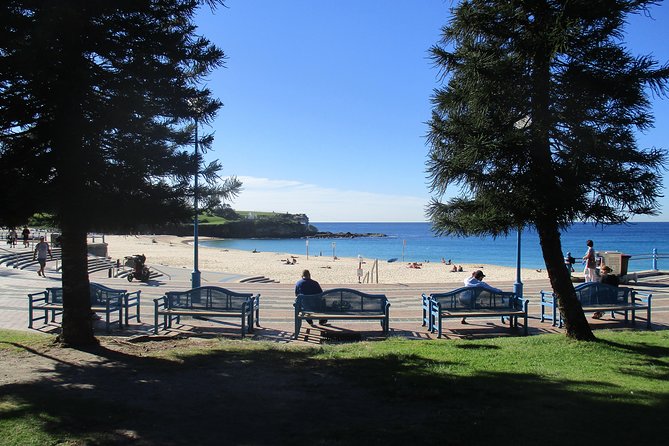Private Coogee to Bondi Walk From Your City Hotel