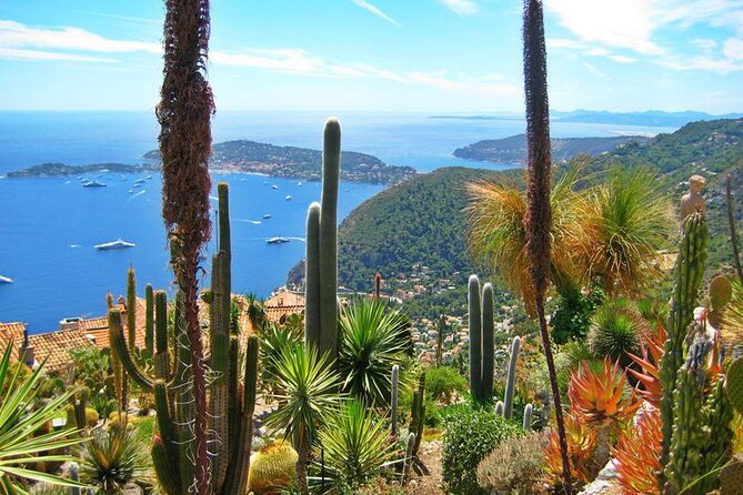 Private Customized French Riviera Tour From Port Villefranche 8H - Tour Highlights