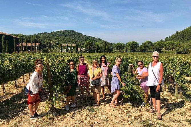 Private Customized Full-Day French Riviera Tour With Guide From Cannes - Tour Highlights and Itinerary Options
