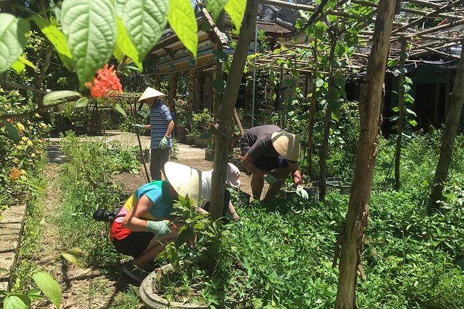 Private Cycling Tour in Rural Hue With Farming Experience - Reviews and Ratings
