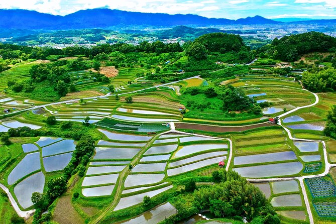 6 Best Tours In Nara Prefecture