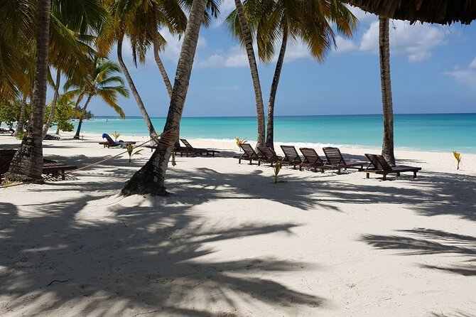 Private Day Cruise With a Small Yacht in Dominican Republic - Yacht Features and Amenities