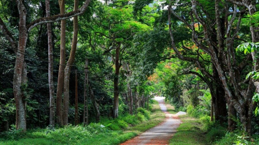 Private Day Tour: Cuc Phuong National Park From Hanoi - Good To Know