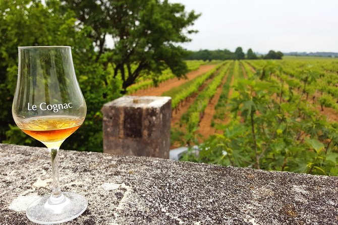 Private Day-Tour From Cognac : Vineyard and Craft Distilleries With Tastings