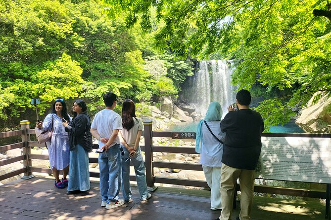 Private Day Tour in South in Jeju Island