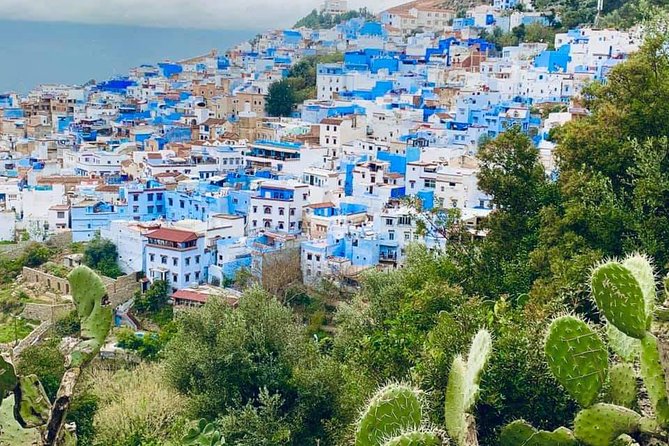 Private Day Tour to Chefchaouen From Tangier - Tour Highlights