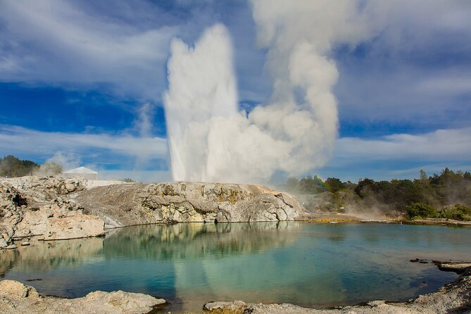 Private Day Tour to Te Puia Geysers and Agrodome