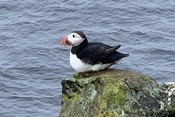 Private Day Tour to Westman Island With Pick up - Good To Know