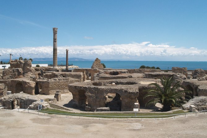 Private Day Tour Tunis Medina Carthage Sidi Bou Said Bardo Museum - Good To Know
