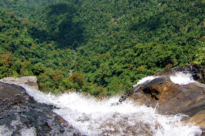 Private Day Trip to Bach Ma National Park From Hue