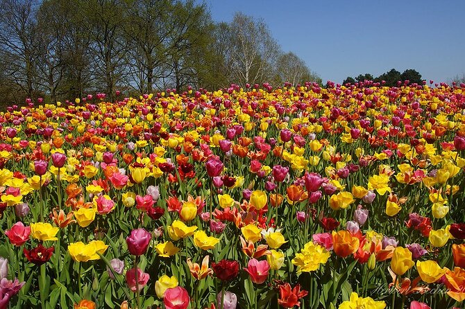Private Day Trip to Keukenhof Gardens With Entrance Tickets - Keukenhof Gardens: A Spectacular Floral Paradise