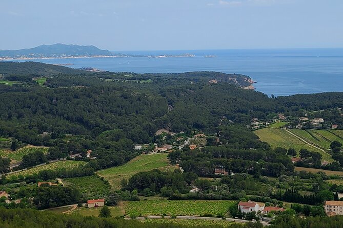 Private Day Trip to La Ciotat - Good To Know