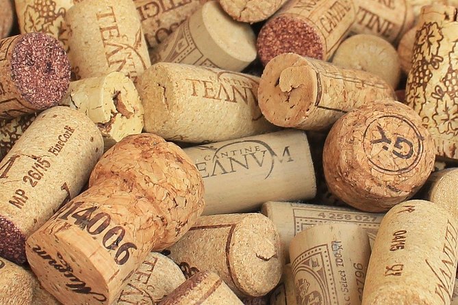 Private Day Trip: Wine Tasting Tour With Picnic Lunch From Cannes - Tour Highlights and Activities