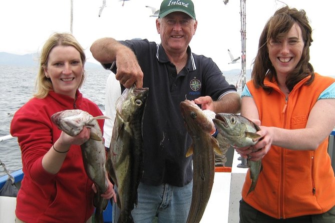 Private Deep-Sea Fishing Excursion in Dingle Bay - Scenic Experience
