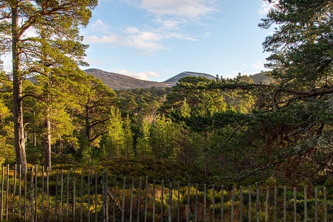 Private Deeside Walking Tour to Kings Secret Retreat & Castle/Distillery Visit - Tour Details and Requirements