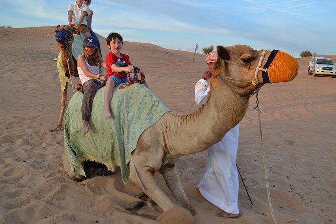 Private Desert Safari From Dubai: Including Buffet Dinner and Live Entertainment - Good To Know