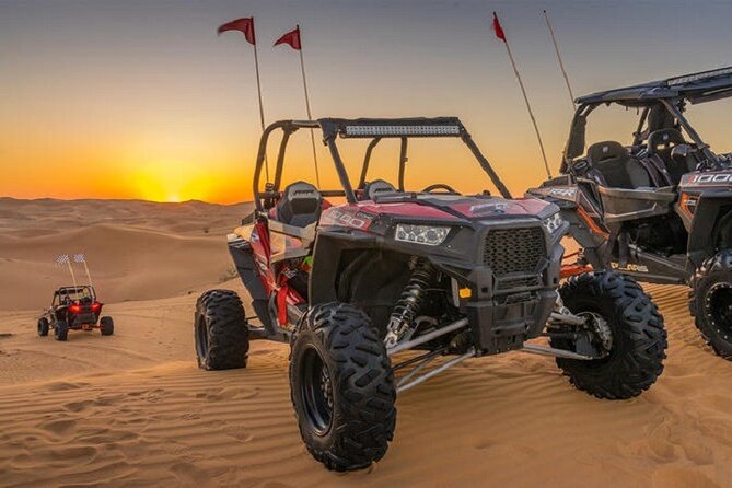 Private Desert Safari With 1-Hour Self-Driving Dune Bashing  - Dubai - Good To Know