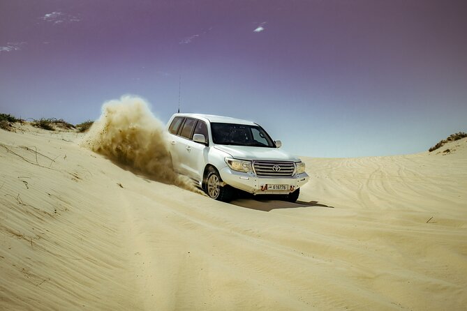 Private Desert Safari With Free Camel Ride & Falcon Photo Snap