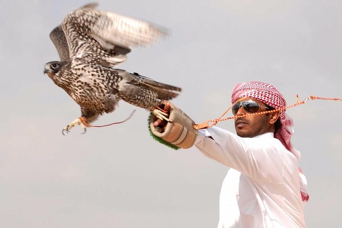 Private Desert Safari With Private Falcon Show With Sunset Setup Experience - Good To Know