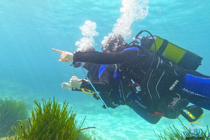 Private Discover Scuba Diving - Private Discover Scuba Diving Experience
