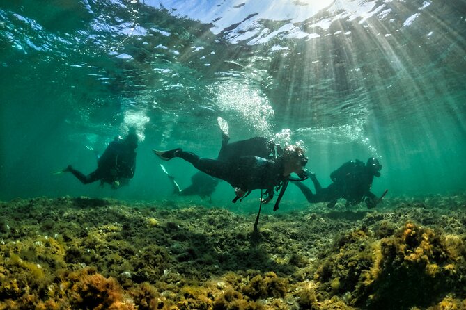 Private Discovery of Scuba Diving in Estérel - Good To Know