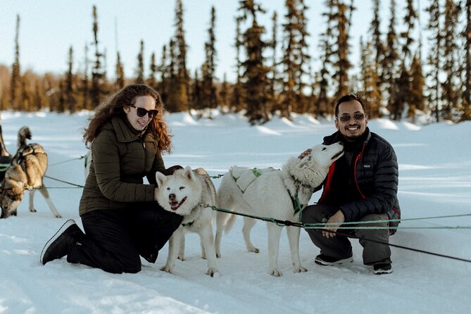 Private Dog Sled Tour - Good To Know