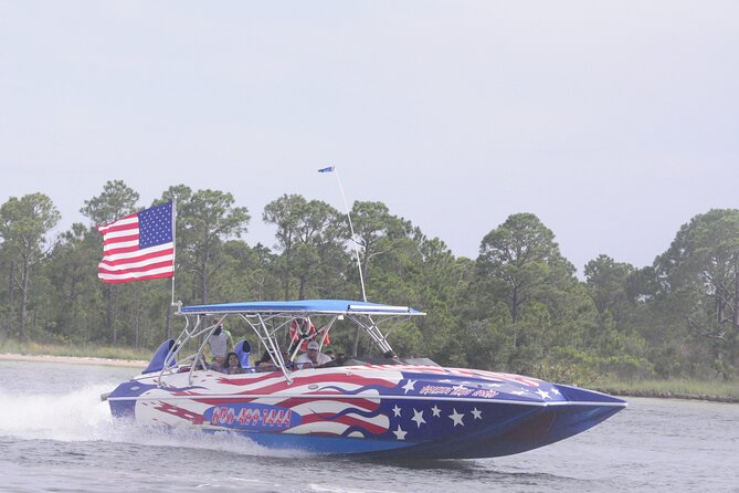 Private Dolphin Spotting Thrill Ride in Destin