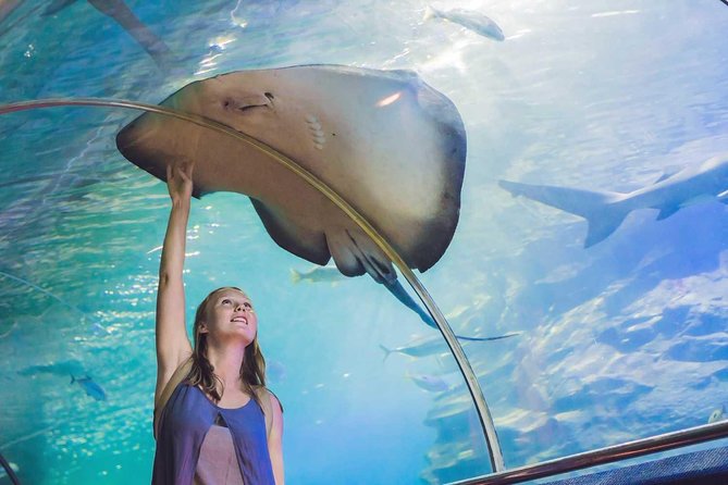 Private Dubai Tour From Abu Dhabi: Burj Khalifa & Aquarium Myholidaysadventures - Good To Know