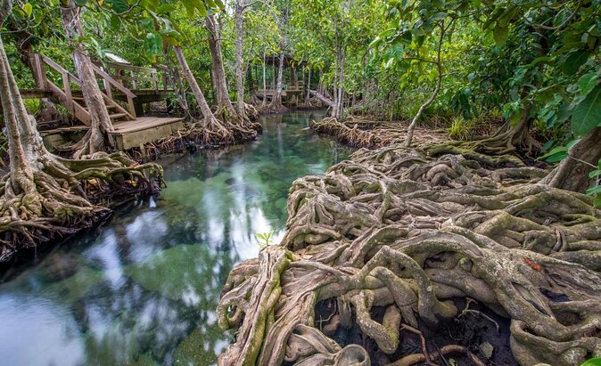 Private Eco Tour in Krabi by Luxury EV Car - Good To Know