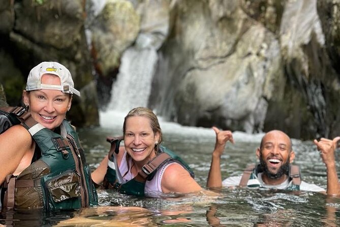 Private El Yunque Rainforest and Waterfalls Tour With Transport - Tour Highlights