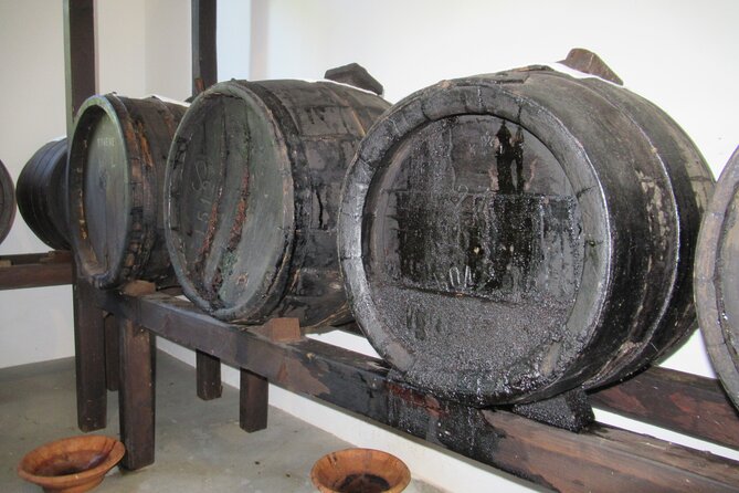 Private Emilian Food and Wine Tasting Tour in Modena