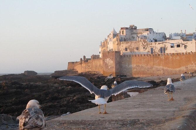 Private Essaouira Day Trip From Agadir - Good To Know