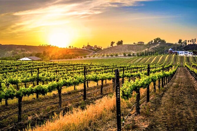 Private Excursion From Orange County Including Lunch Tastings