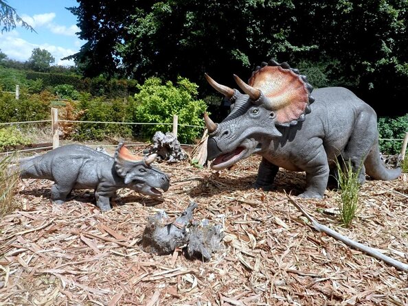 Private Excursion to Thoiry Zoosafari From Paris - Good To Know