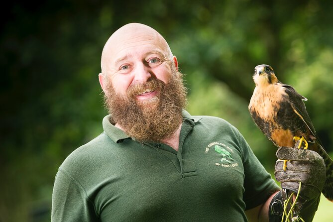 Private Family Bird of Prey Experience in Carlisle - Good To Know