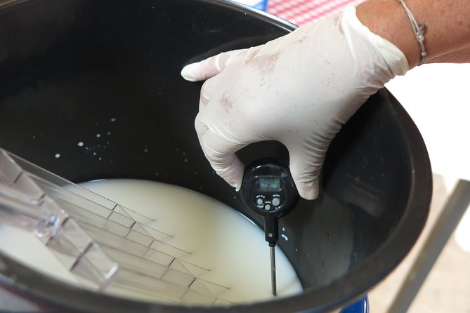 Private Farmhouse Cheesemaking Workshop