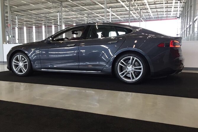 Private Flowerfield Tour in Tesla From Leiden