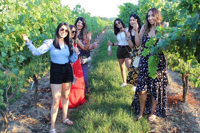 Private Four-Hour Wineries Tour With Tastings, Niagara Ontario  - Niagara Falls & Around - Good To Know
