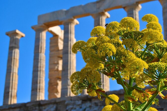 Private Full-day Athens and Temple of Poseidon Tour - Good To Know