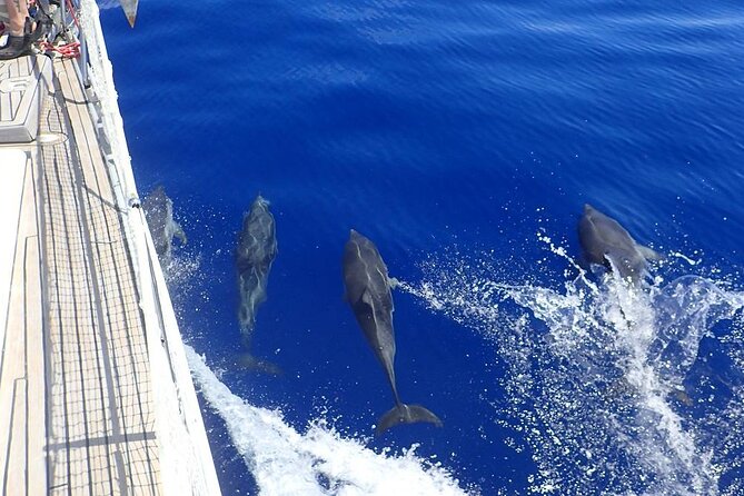 Private Full Day Cruise Tour in Naxos Town - Good To Know