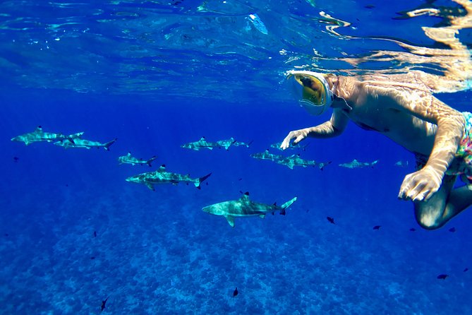 PRIVATE FULL DAY LAGOON TOUR - Bora Bora Cultural Lagoon Tour