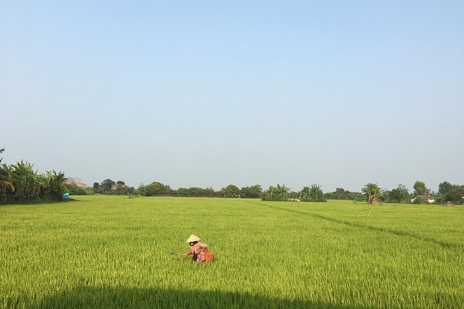 Private Full-day Mekong Tour From Ho Chi Minh City, Including River Cruise