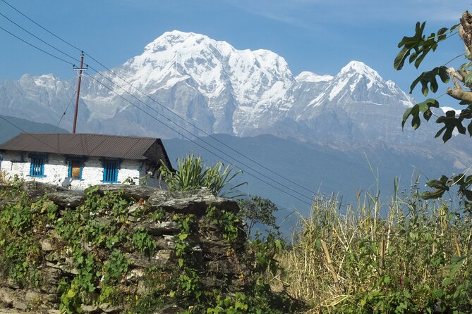 Private Full Day Tour Around Pokhara