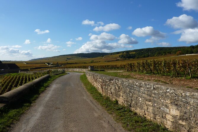 Private Full Day Tour Burgundy Gourmet - Good To Know