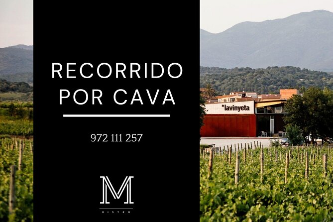 7 Best Wine Tours In Girona