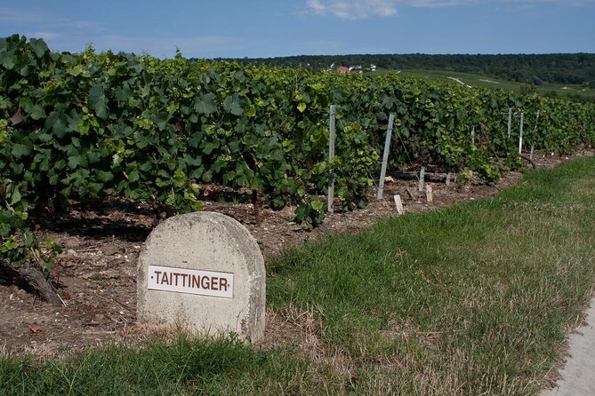 Private Full Day Tour to Champagne From Paris, Visit of 2 Champagne Producers - Good To Know