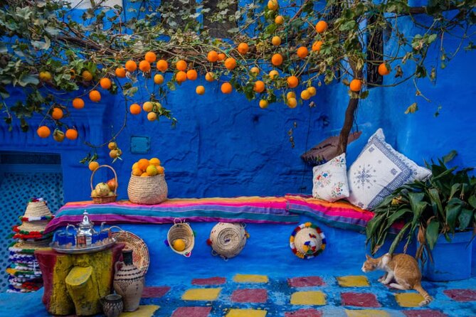 Private Full-Day Trip in Chefchaouen - Questions and Customer Support