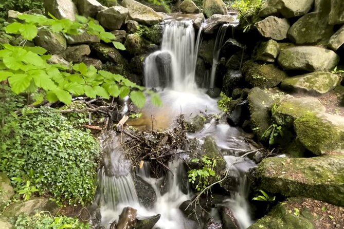 Private Garden of Ireland Wicklow Tour - Good To Know