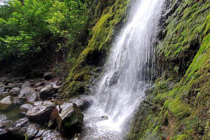 Private Guided Adventure With Jungle Waterfalls - Experience the Magic of Jungle Waterfalls